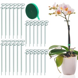 Teenyyou 48 Pcs Plant Stakes for Outdoor, Plant Support Stakes for Two Sizes(17.7 or 11.8 Inches) with Green Gardening Tape for Garden Flower, Amaryllis Peony Lily Rose Narcissus Tomato