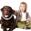 Metal Diamond Dog Chain Dog Training Chain with Secure Buckle