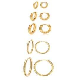5 Pairs Stainless Steel Gold Hoop Earrings for Women Men Small Hoop Earrings Set Rounded Cute Huggie Earring Studs Hypoallergenic Climb Earrings Set