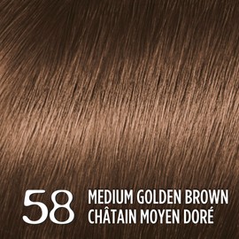 L’Oréal Paris Feria Multi-Faceted Shimmering Permanent Hair Color, 58 medium golden brown, Hair Dye with Conditioning Oils, Pack of 1