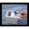 Spider Scare Box - Limited Time Price!