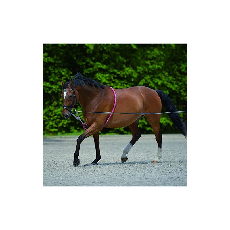 WALDHAUSEN Lunging Aid, Black, Pony, PON, Black