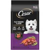 CESAR Small Breed Dry Dog Food Filet Mignon Flavor 5