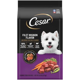 CESAR Small Breed Dry Dog Food Filet Mignon Flavor 5 lb Healthy Nutrition