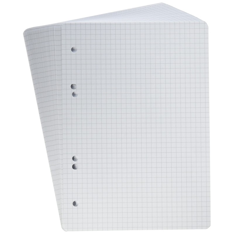 Baier Schneider & Insert Notepad for Use in Ringbinders A5