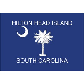 Hilton Head Island, South Carolina Flag, SC, Palm Tree, Souvenir Magnet 2 x 3 Photo Fridge Magnet