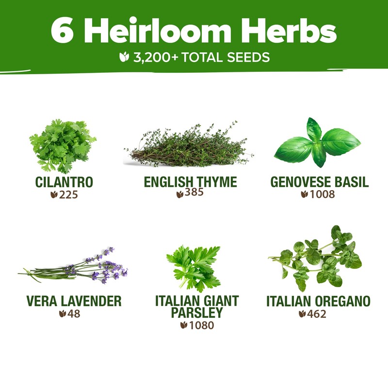 HOME GROWN HOME GROWN 6 Herb Seeds Variety Pack C