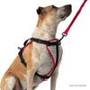 Nathan Dog Harness. Teaching Attachment/No Pull/Reflective/Lift Handle. for Running or