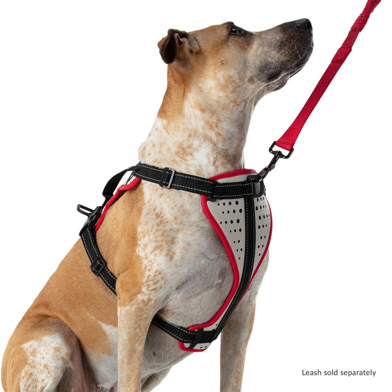 Nathan Dog Harness. Teaching Attachment/No Pull/Reflective/Lift Handle. for Running or