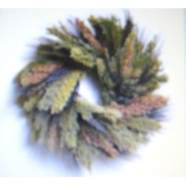 Broomcorn BROOM CORN * MULTI-COLORED * FUN * ARTS & CRAFTS * DEER & BIRD FOOD *