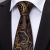 Barry.Wang Black and Gold Ties Paisley Necktie Set Wedding Formal