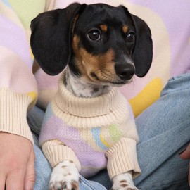Wavy Knitted Dog Sweater for Dachshunds - 100% Cotton Winter Wear for Cozy & Stylish Pets Matching Human Wavy Oversized Sweater Available:_S