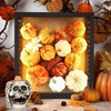 LED Shadow Box Frame Wine Cork Holder Display Case with