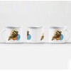 Enamelled Metal Cup 284ml Minimalist Shell Collage Biology Illustration Ancient