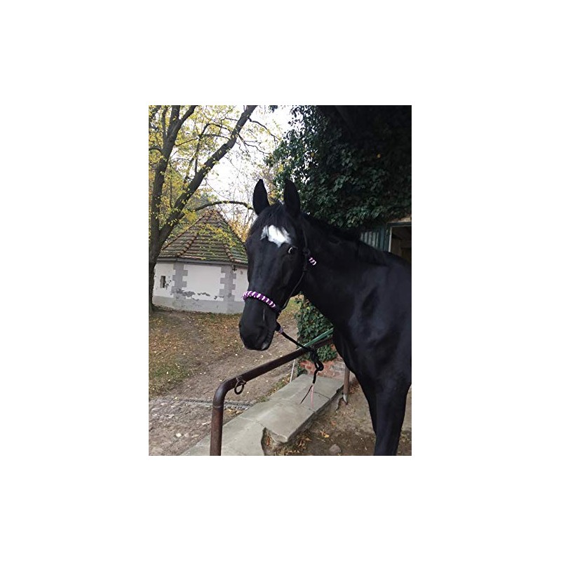 Knot Halter with Rope for Horses - Padded Nose and