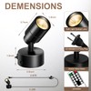 FZWLE 1 Pack Dimmable Spot Lights Indoor, Uplighting Indoor Spotlight