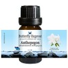 Anthopogon Essential Oil 10ml - 100% Pure by Butterfly Express