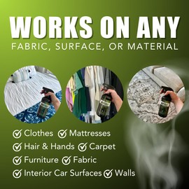 Chronic Wipeout Smoke Smell Eliminator for Home, Cars, Hands, Hair, Clothes, & More | Smoke Odor Eliminating Spray for All Kinds of Strong Smoke | Gifts for Smokers - Apple 2 Pack (16 oz)