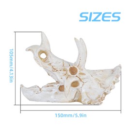 MC MEICHUANG Prehistoric Dinosaur Skull Decor mini White Resin Aquarium Ornament&Reptile Hideout Cave (Fish Tank/Terrarium Safe)