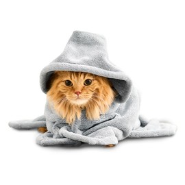 アイリスオーヤマ ペットローブ ペットタオル 犬 服 猫 服 Mサイズ PRB-MGR グレー