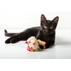 Hartz Just For Cats Running Rodent Vibrating Plush Mouse Cat