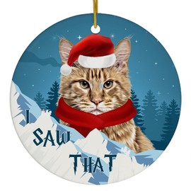Ginger Maine Coon Cat Christmas Ornament 2025 I Saw That - Funny 3 Inch Round Ceramic Hanging Tree Decoration Kitten Owners Gift