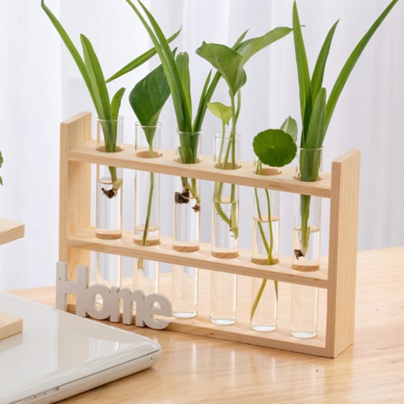 BESPORTBLE Clear Test Tubes for Plant Propagation Station, 4Pcs Glass