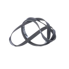 INA FB 6PK1735 Distribution Straps