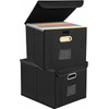 Paquete de 2 Cajas Organizadoras de Archivos con Tapa y