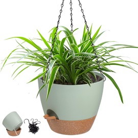 Vanslogreen - Macetas colgantes de 12 pulgadas para plantas de interior, macetas colgantes grandes con agujeros de drenaje y platillo, cestas colgantes para el hogar, jardín, 1 paquete (verde)