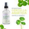 Hidrolato De Centella Asiática Reparador, Cicatrizante120 Ml