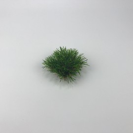 KuGuo Mini Plastic Artificial Weeds Tufts DIY Fake Grass Clusters for Home Decoration (Autumn Grass, 12PCS)