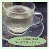 Rosemary Tea 1.8 oz (50 g) [Postal Compatible Size] [Rosemary