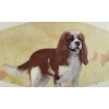 Pet Lover Cavalier King Charles Spaniel Dog Lover's Face Mask