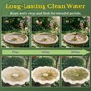 Niteguy Bird Bath Copper Disk,Bird Bath Purification Disk 0.6mm Reinforced