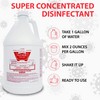 Lucasol ONE Step Hospital Grade Disinfectant (Gallon)
