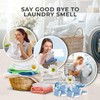 MELTINGTABS Washing Machine Cleaner, 24-Pack, Ocean Scent – Year-Long Freshness