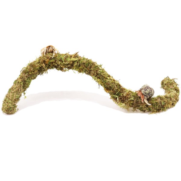 Hermit Crab Accessories, 25 Inch Hermit Crab Climbing Toys, Ideal
