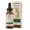 Windboss Gotas Con Saúco Y 9 Extractos Botánicos 59 Ml
