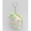Wigo Women's Faded Turtle Plush Keychain, green