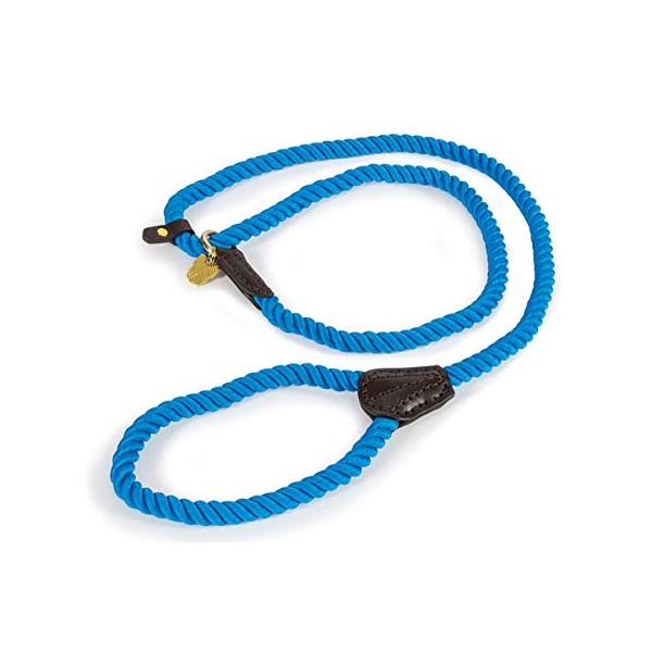 Shires Digby and Fox Rope Slip Dog Lead: Red