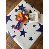 Siesta 'Well Done' Colourful Felt Fairy/Pixie with Message Gift Tag
