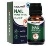 Cellatin Nail Solution N Problematic Nail Toenail Strengthening Nutrient Horse Oil 100% 15ml 1 Piece Broken Nails / 셀라틴 네일 솔루션N 문제성 손톱발톱 강화영양제 마유 100% 15ml 1개 깨진손톱