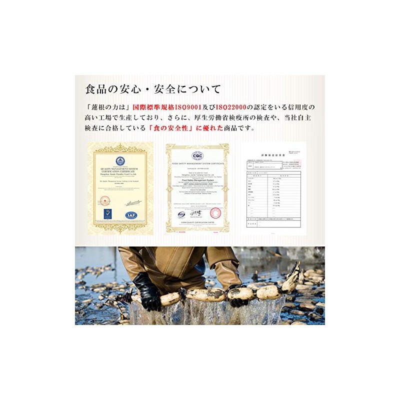 Lotus Root Powder, 100% Additive-Free Lotus Root Powder, 9.8 oz