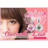 Cinderella Lash Eyelash Extensions 14 Bundles (No Pots) [14 Bundles,