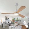 Ceversa 52 Inch Natural Wood Ceiling fans with Lights and