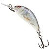 Salmo Hornet Wobbler Mini Wobbler D, Salmo Colours: Real Dace,