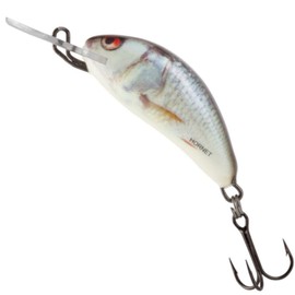 Salmo Hornet Wobbler Mini Wobbler D, Salmo Colours: Real Dace, Length / Weight / Running Behavior / Diving Depth: 2.5 cm / 1.5 g / Sinking / 0.5 - 1.0 m