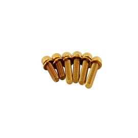 POWERJAMES 6pcs Gold Transmission covers bolt kit for Harley 06-24 Softail Dyna Touring