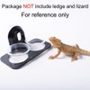 SLSON 100 Pack Gecko Food and Water Cups Gecko Ledge